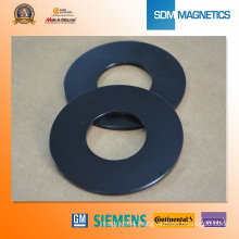 High Quality Epoxy Coated Neodymium Magnet